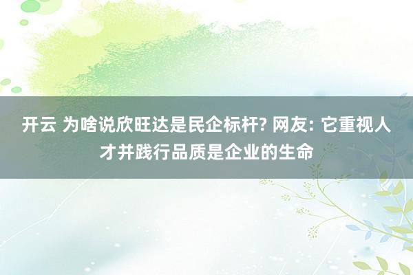 开云 为啥说欣旺达是民企标杆? 网友: 它重视人才并践行品质是企业的生命