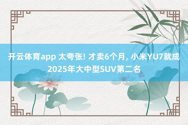 开云体育app 太夸张! 才卖6个月, 小米YU7就成2025年大中型SUV第二名