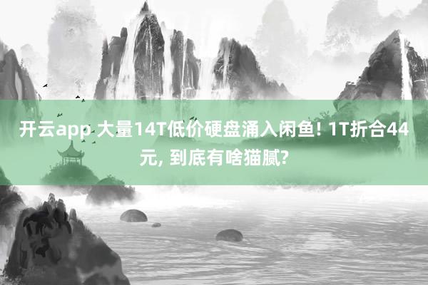 开云app 大量14T低价硬盘涌入闲鱼! 1T折合44元, 到底有啥猫腻?