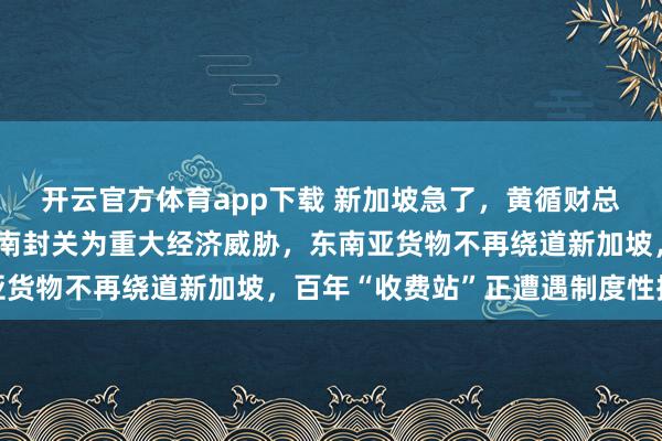 开云官方体育app下载 新加坡急了，黄循财总理在国际会议上，称海南封关为重大经济威胁，东南亚货物不再绕道新加坡，百年“收费站”正遭遇制度性挑战