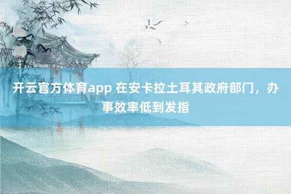 开云官方体育app 在安卡拉土耳其政府部门，办事效率低到发指