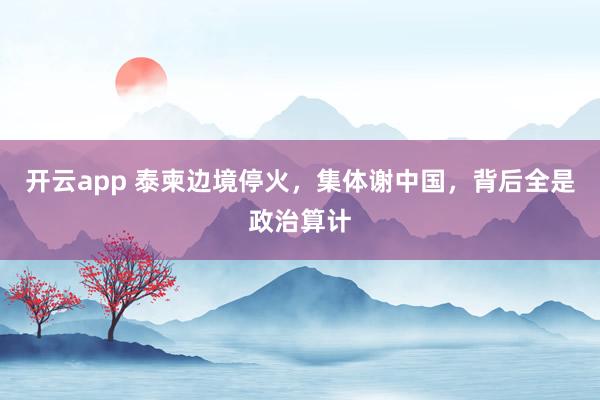 开云app 泰柬边境停火，集体谢中国，背后全是政治算计
