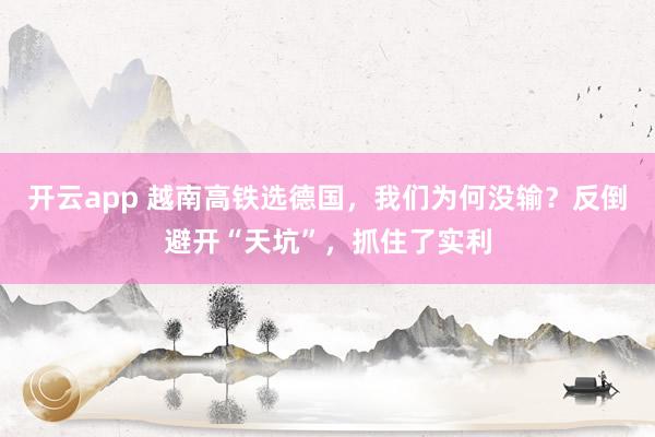 开云app 越南高铁选德国，我们为何没输？反倒避开“天坑”，抓住了实利