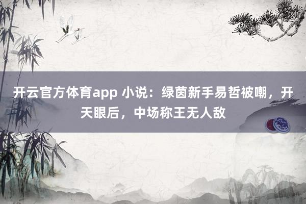 开云官方体育app 小说:绿茵新手易哲被嘲,开天眼后,中场称王无人敌