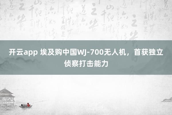 开云app 埃及购中国WJ-700无人机，首获独立侦察打击能力