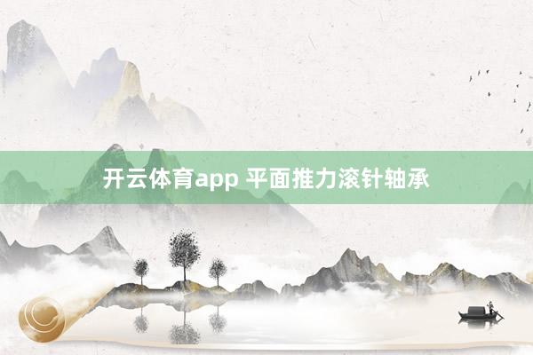开云体育app 平面推力滚针轴承