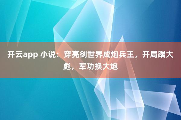 开云app 小说：穿亮剑世界成炮兵王，开局踹大彪，军功换大炮