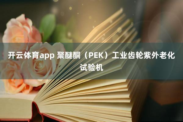 开云体育app 聚醚酮（PEK）工业齿轮紫外老化试验机