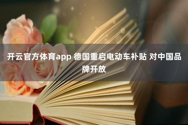 开云官方体育app 德国重启电动车补贴 对中国品牌开放